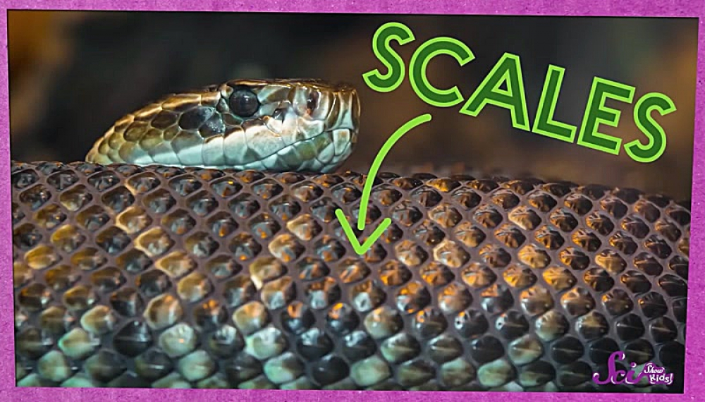 برنامه علمی کودکان - فصل 1 قسمت 8