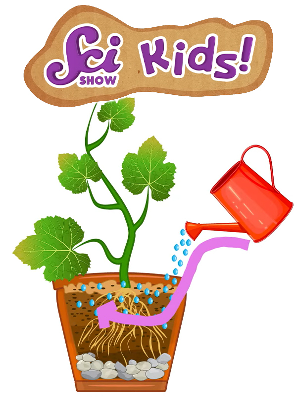 برنامه علمی کودکان - فصل ۱ قسمت ۸