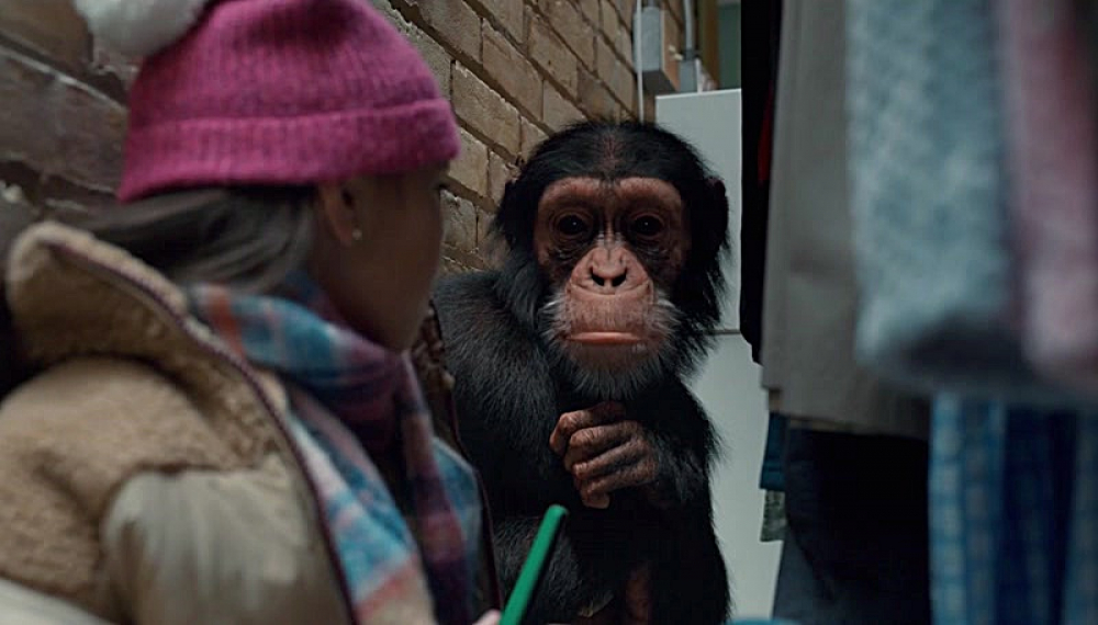 جین - فصل 1 قسمت 10