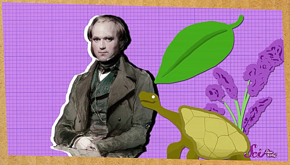 برنامه علمی کودکان - فصل 1 قسمت 12