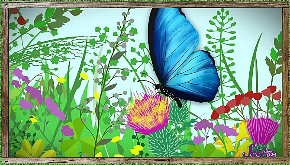 برنامه علمی کودکان - فصل 1 قسمت 13