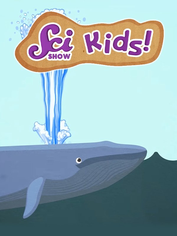 برنامه علمی کودکان - فصل ۱ قسمت ۱۳