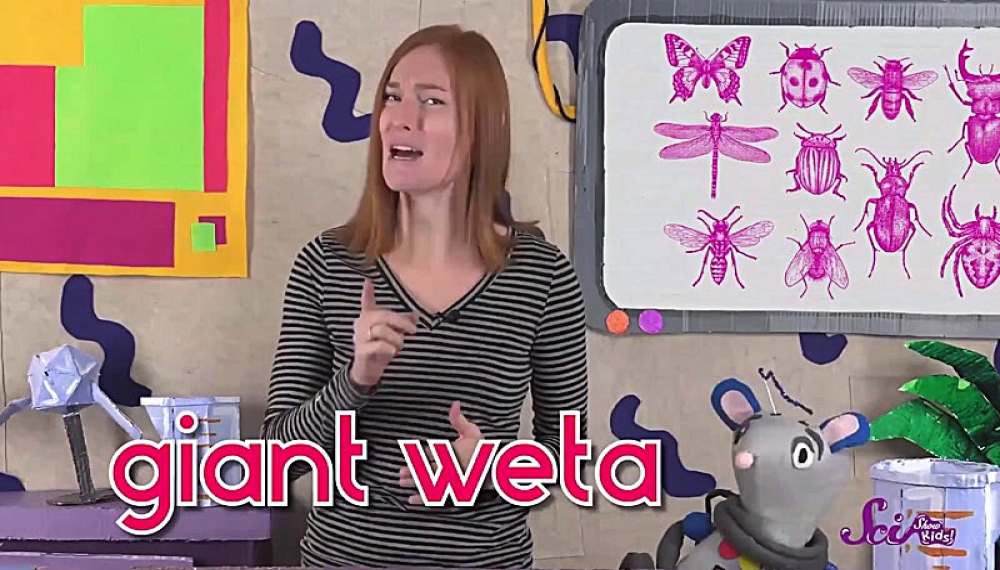 برنامه علمی کودکان - فصل 1 قسمت 14