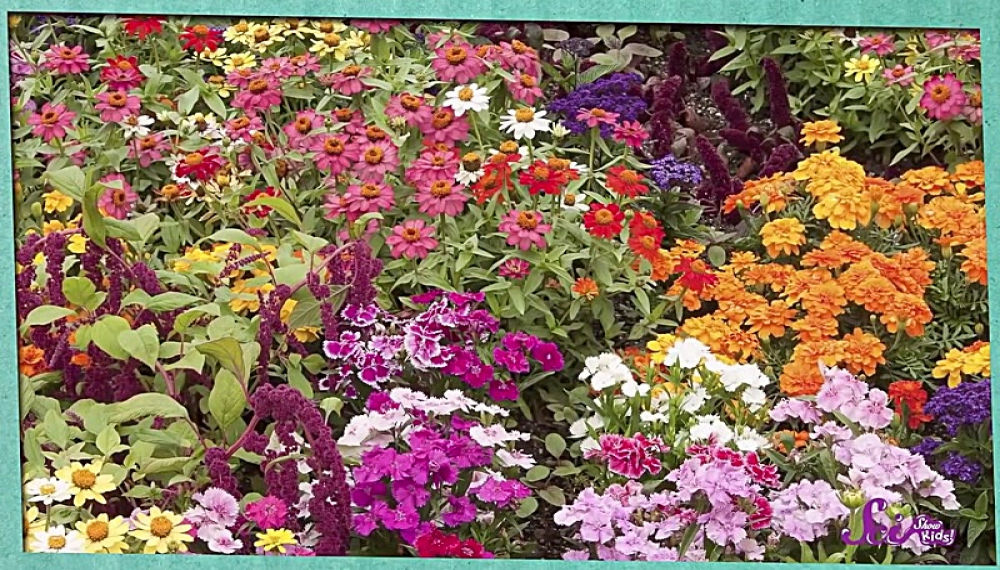 برنامه علمی کودکان - فصل 1 قسمت 16