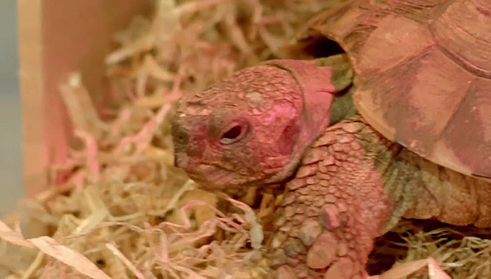 فضایی ها - فصل 1 قسمت 2