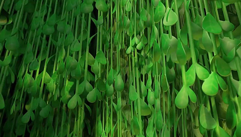 ترو در سرزمین رنگین کمان - فصل 1 قسمت 9