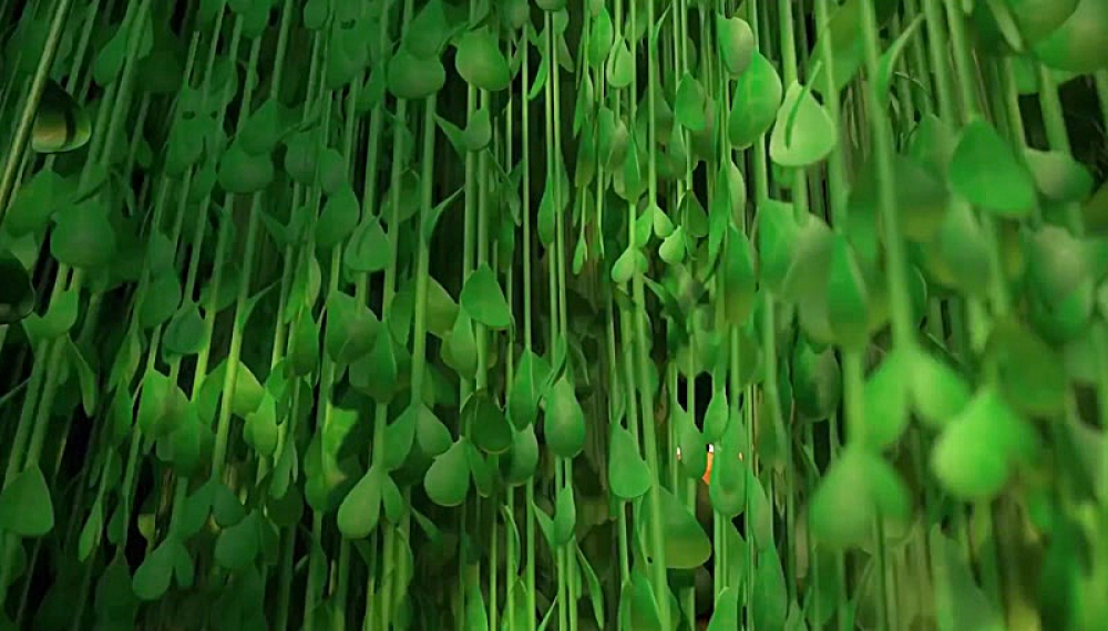 ترو در سرزمین رنگین کمان - فصل 1 قسمت 19