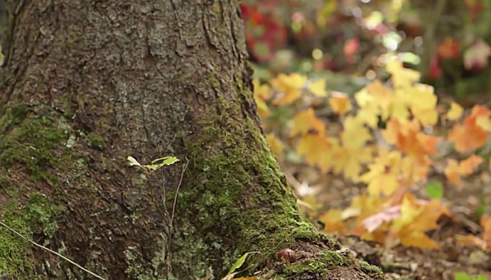 ماشین های بازیگوش - فصل 1 قسمت 13