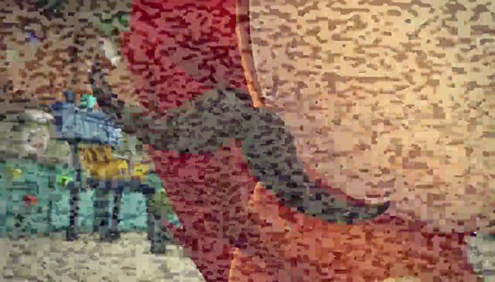 گونه های در معرض خطر - فصل 2 قسمت 3