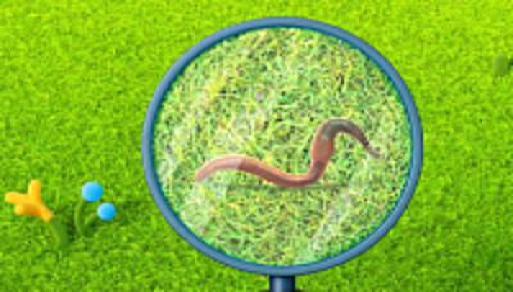 گوسفند کاراته باز - فصل 2 قسمت 9