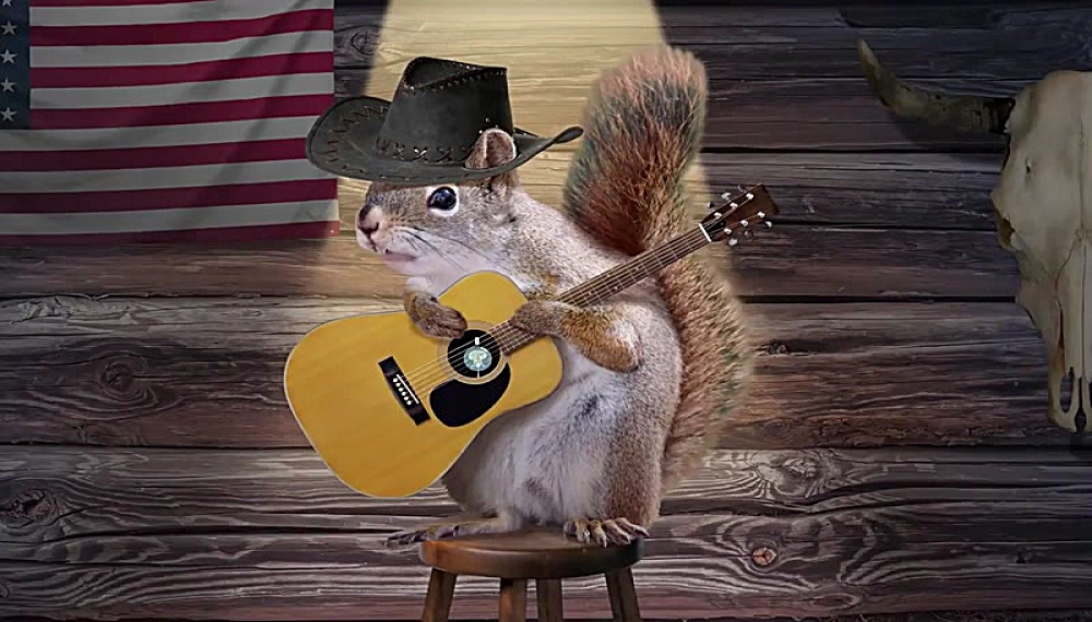 باب اسفنجی - فصل 11 قسمت 22