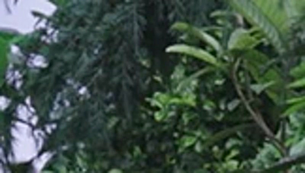 زخم کاری: بازگشت - فصل 2 قسمت 13 (مخصوص نابینایان) قسمت آخر