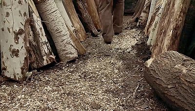 آسمان من - قسمت 2