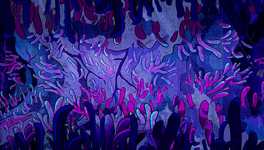 مون گرل مارول و دایناسور اهریمنی - فصل 2 قسمت 3