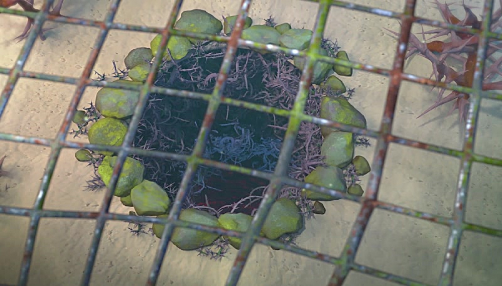 پسر دلفینی - فصل 1 قسمت 8