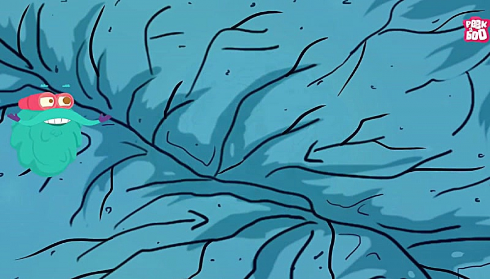 سفر به منظومه شمسی - فصل 1 قسمت 1