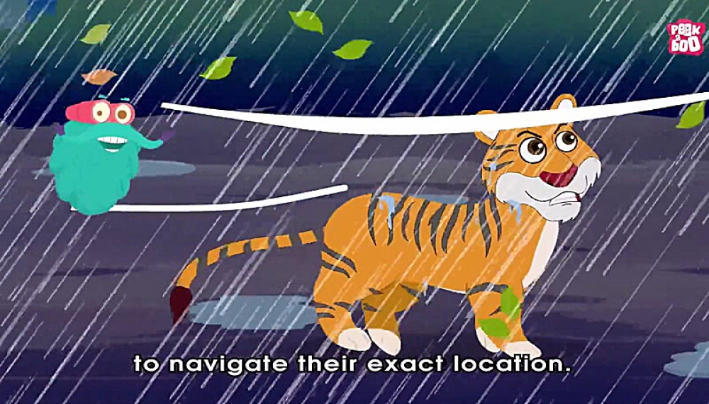 سفر به منظومه شمسی - فصل 1 قسمت 13