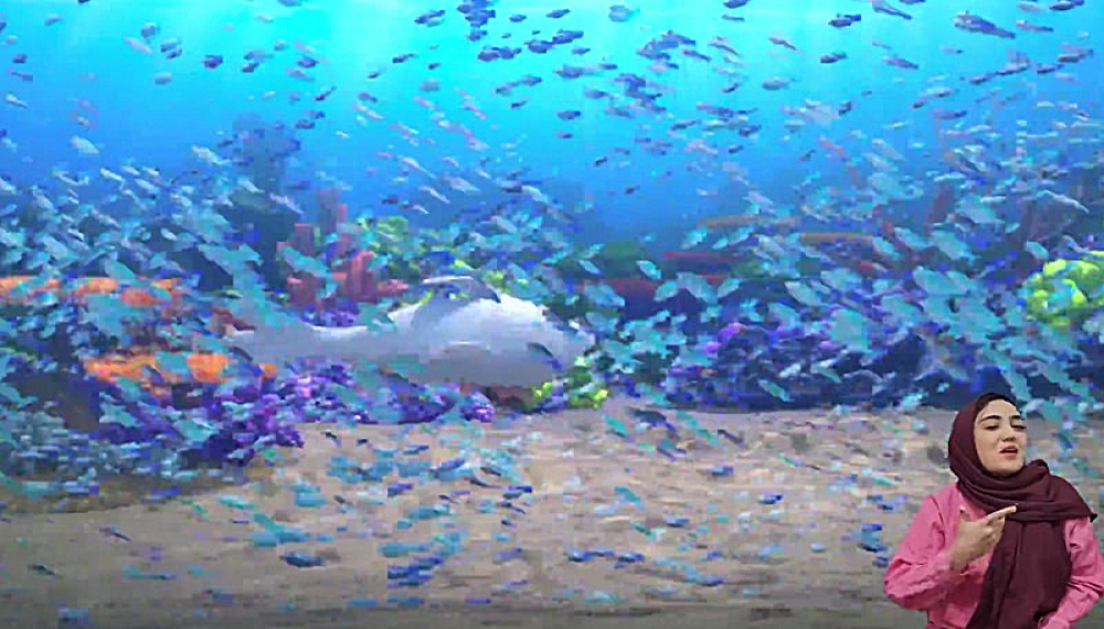 پسر دلفینی (مخصوص ناشنوایان) - فصل 1 قسمت 1