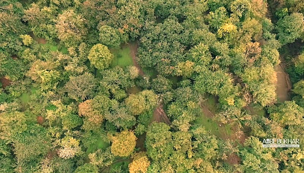 اسب بخار - فصل 3 قسمت 11