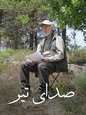 صدای تیر