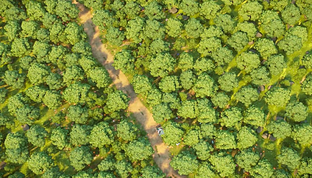 هفت خرس - فصل 1 قسمت 2