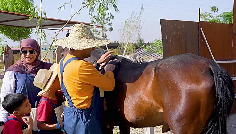 کدو بلو - قسمت 4