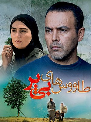 فیلم  طاووس های بی پر  فیلم  طاووس های بی پر