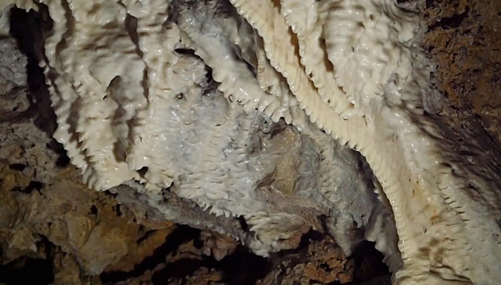 کوله نارنجی - قسمت 5 زنجان