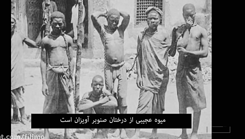 فیلیمو ماورا - قسمت 16