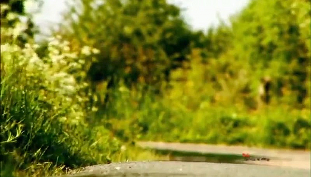 زندگی حشرات - فصل 1 قسمت 1