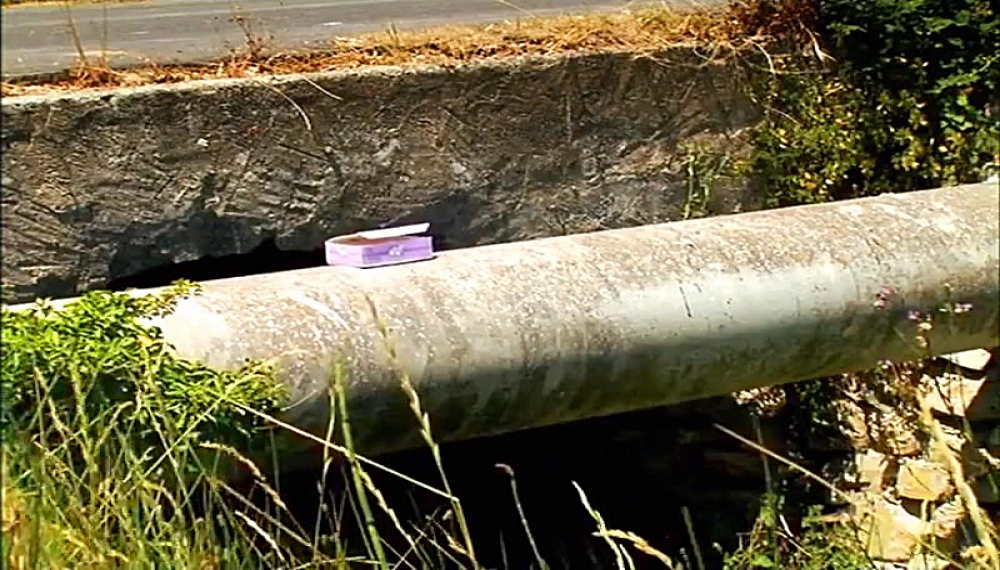 زندگی حشرات - فصل 1 قسمت 2