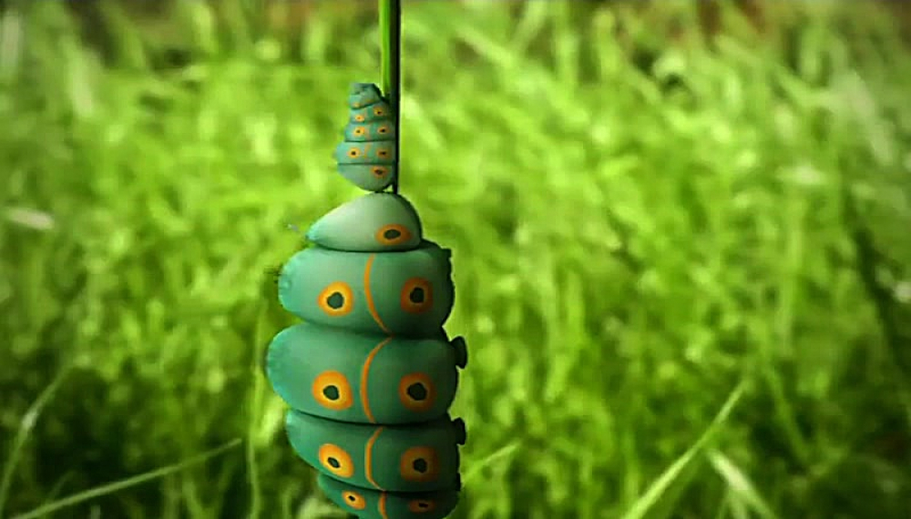 زندگی حشرات - فصل 1 قسمت 4