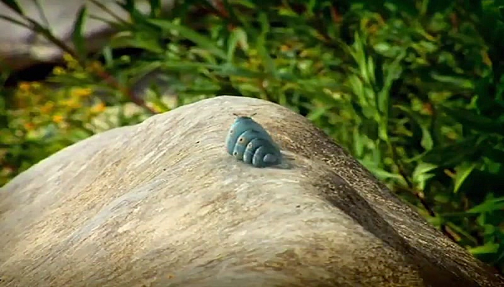 زندگی حشرات - فصل 1 قسمت 8