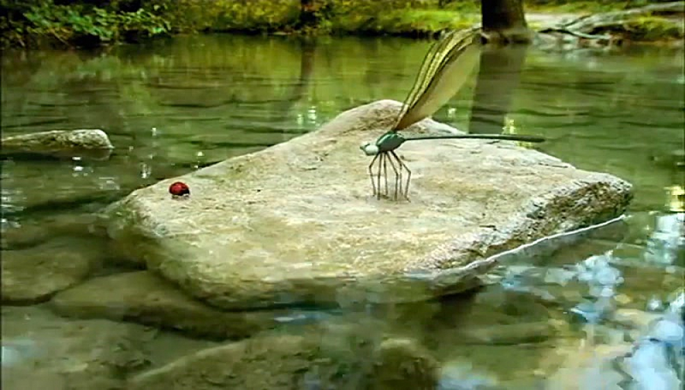 زندگی حشرات - فصل 1 قسمت 14