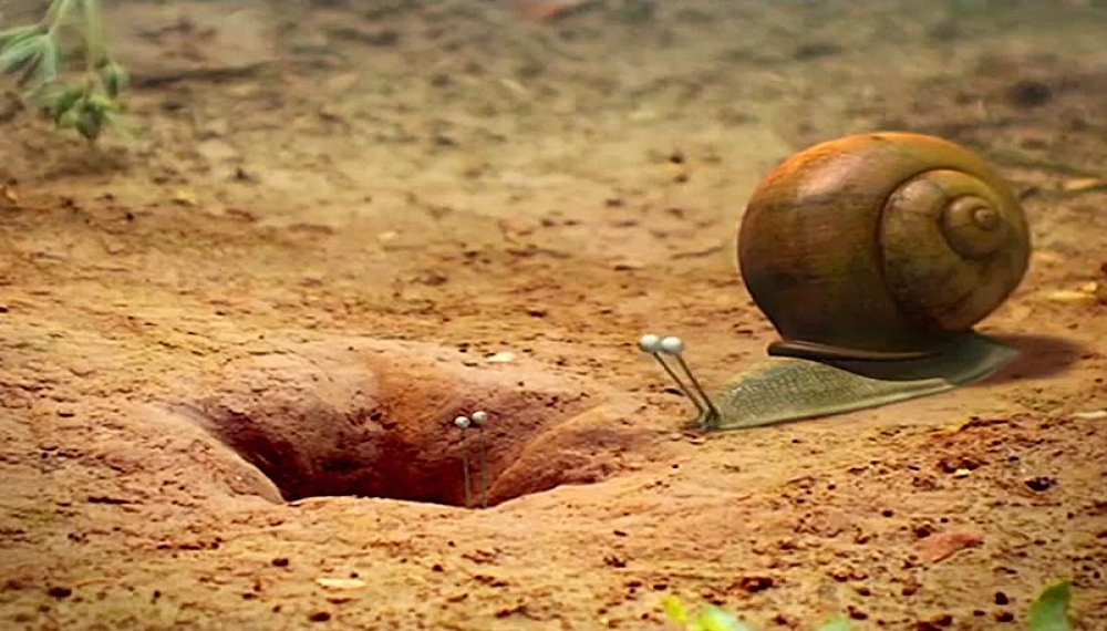 زندگی حشرات - فصل 1 قسمت 16