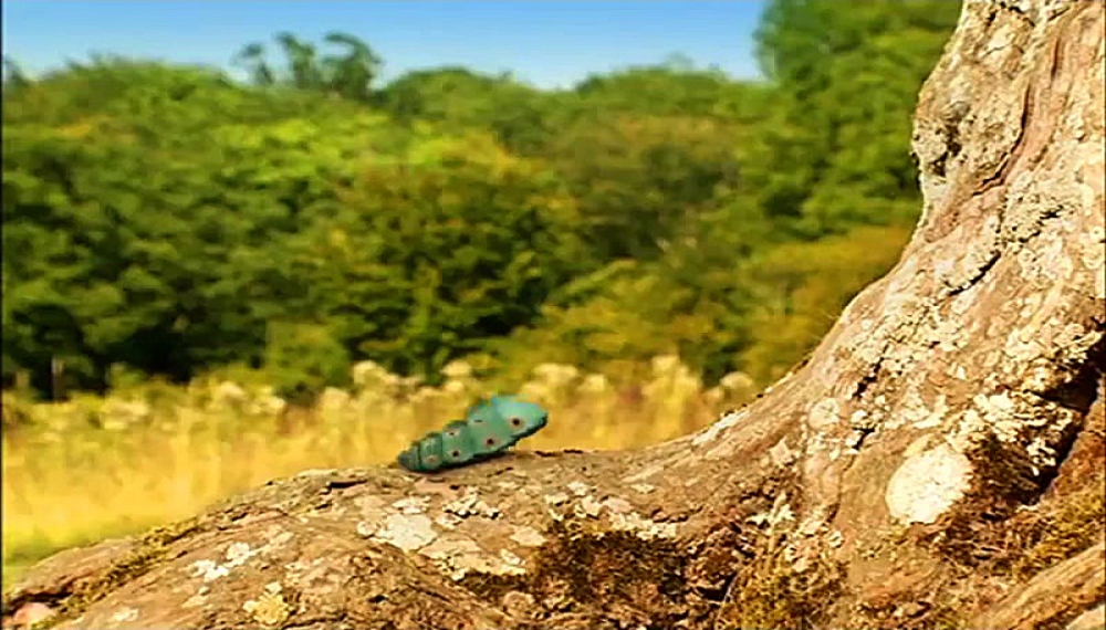 زندگی حشرات - فصل 1 قسمت 17