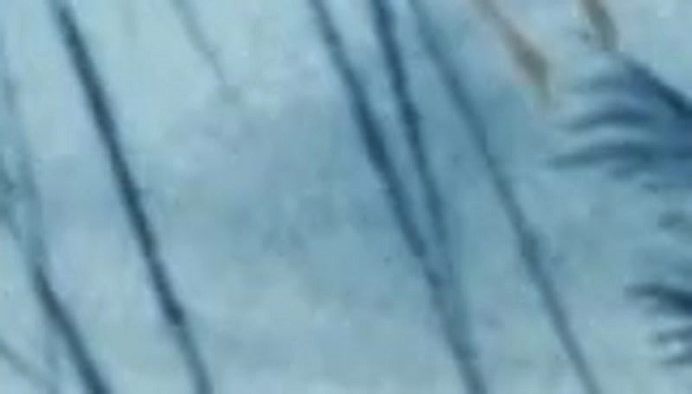 دورورو - فصل 1 قسمت 23