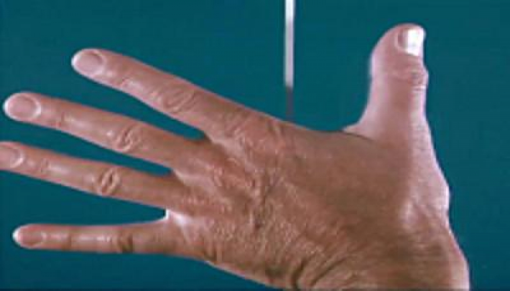 آقای خط - فصل 1 قسمت 4