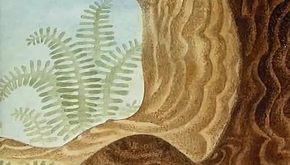 مول - فصل 1 قسمت 25