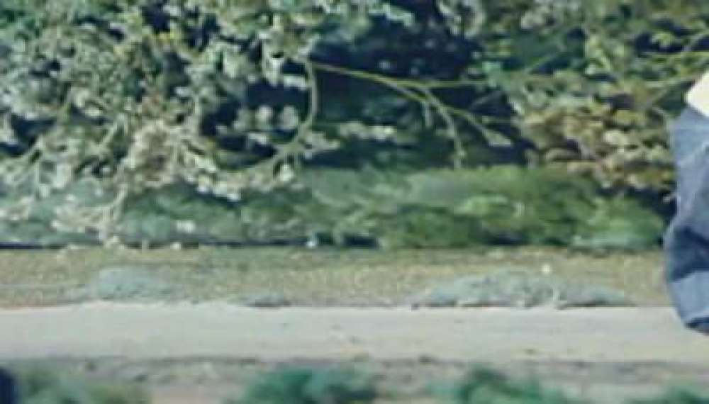 پت و مت - فصل 1 قسمت 40