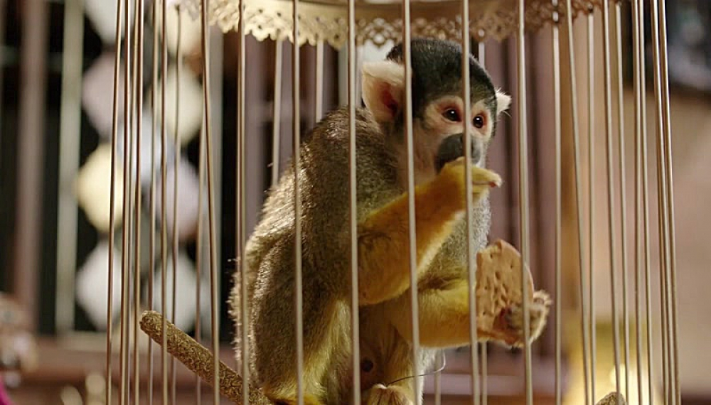 بدترین جادوگر - فصل 1 قسمت 3