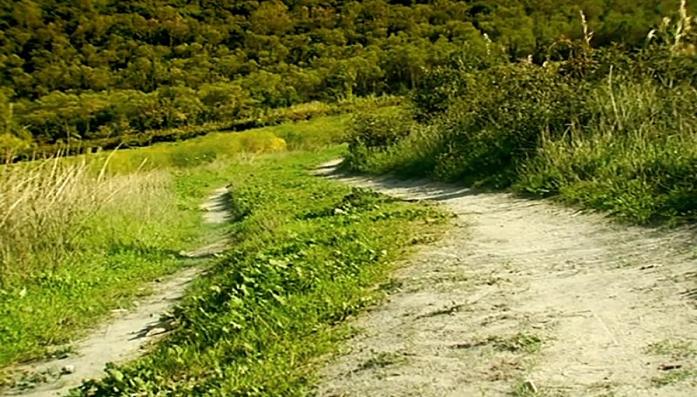 زندگی حشرات - فصل 1 قسمت 21