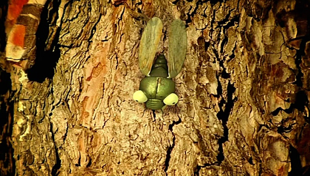 زندگی حشرات - فصل 1 قسمت 22