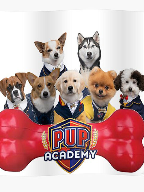 آموزشگاه توله سگ ها - فصل ۱ قسمت ۶