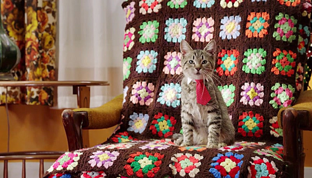 آموزشگاه توله سگ ها - فصل 1 قسمت 8