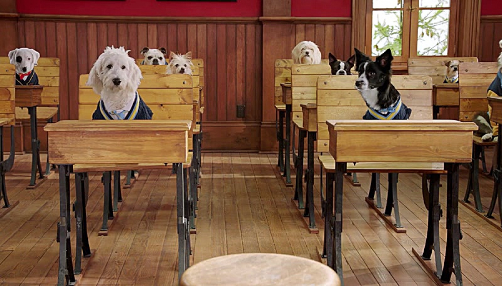 آموزشگاه توله سگ ها - فصل 1 قسمت 12