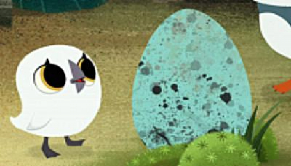 صخره پافین ها - فصل 1 قسمت 1