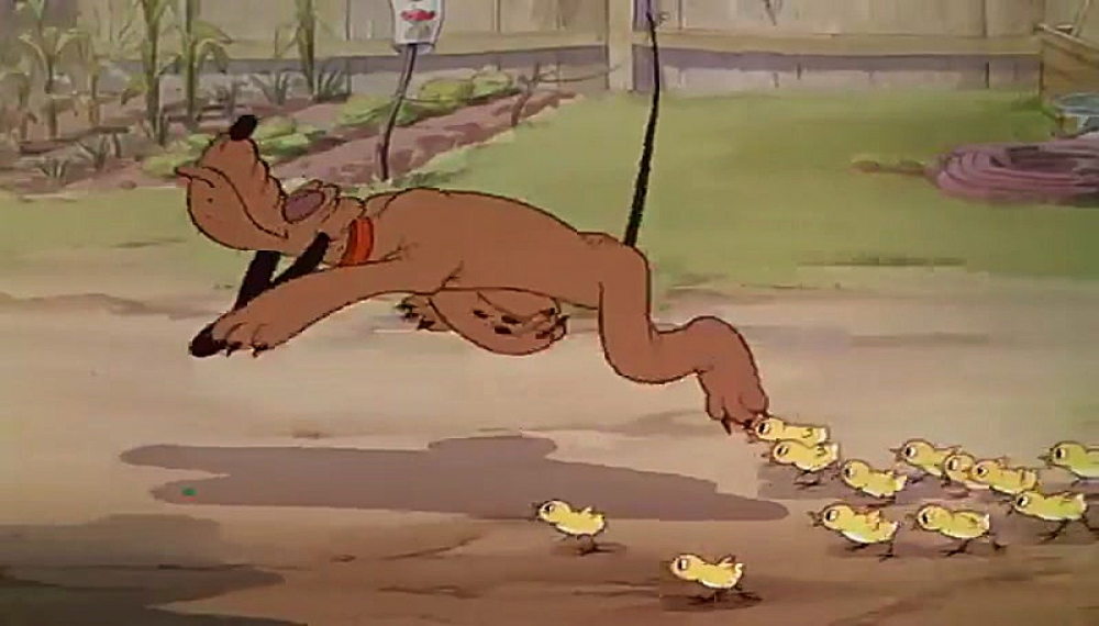 داستان های ساده - قسمت 63