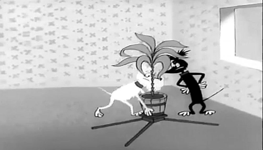 اشتافی و اشپاگ - قسمت 8