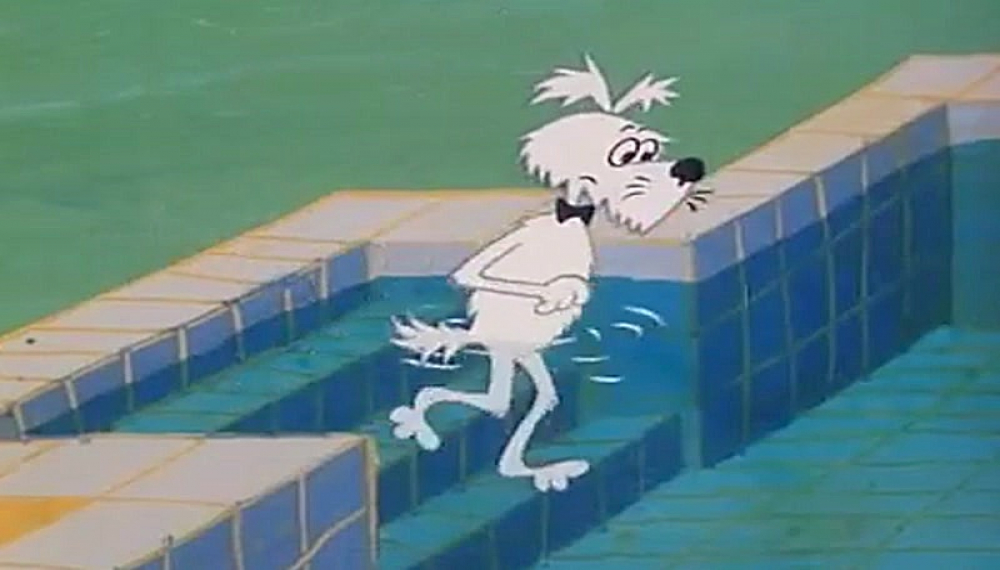 اشتافی و اشپاگ - قسمت 17